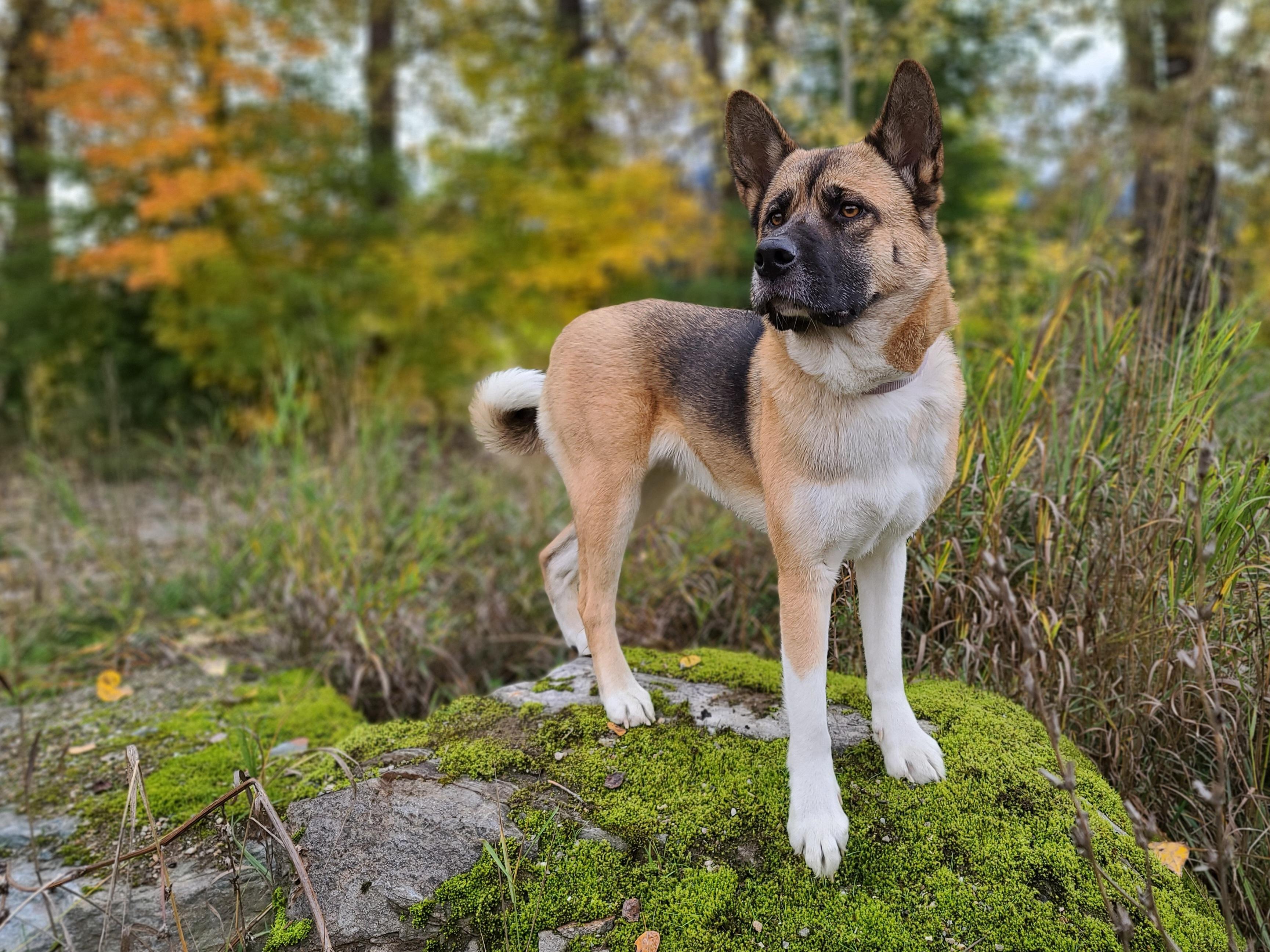 Ingredient Spotlight: Glucosamine