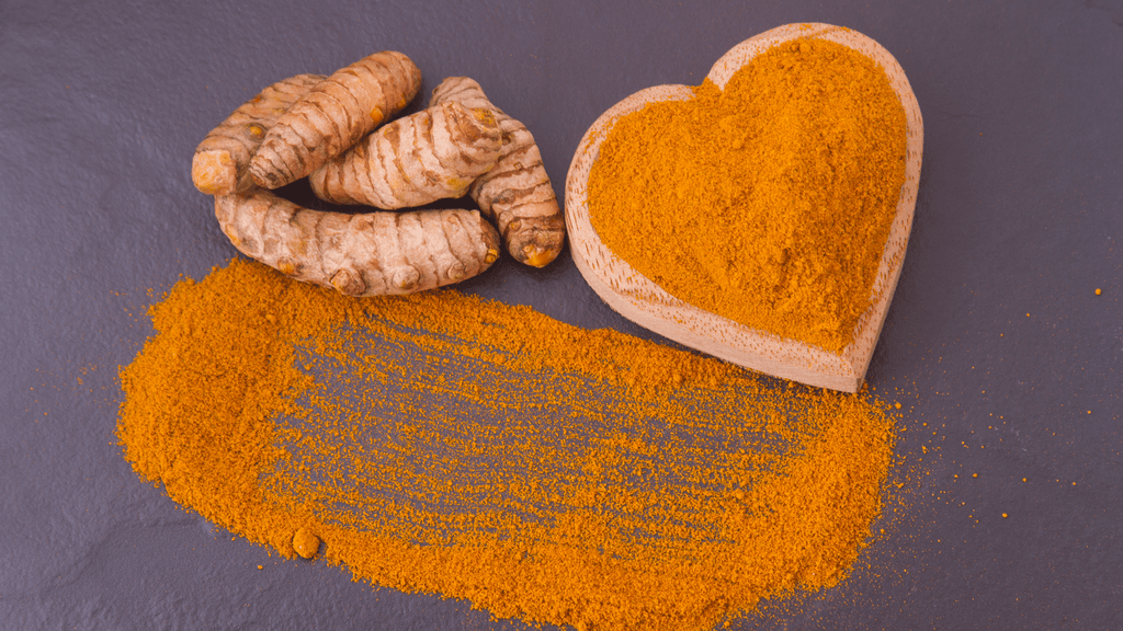 Why Turmeric is Good for Dogs?