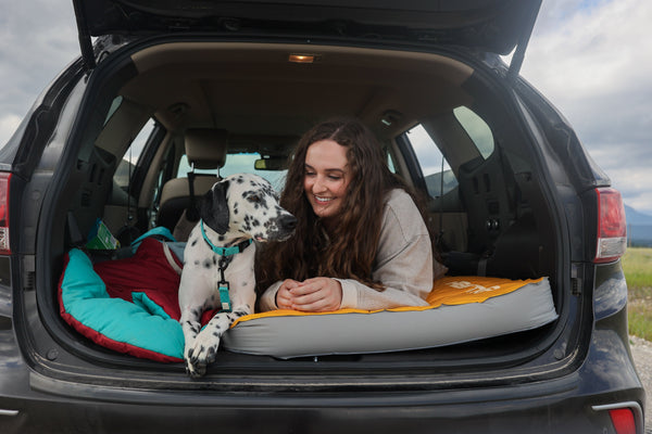 From Nose to Tail: Caring for Your Pet’s Physical Health