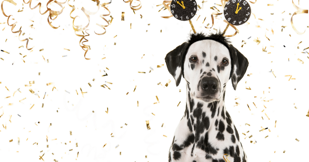 6 Healthy New Year’s Resolutions for Your Dog