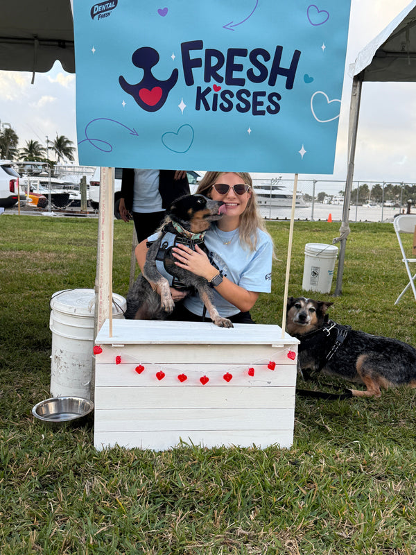 Dental Fresh, the Sister Brand to Veterinary Formula, Joins the 36th Annual VCA Walk for the Animals as Water Stop Sponsor