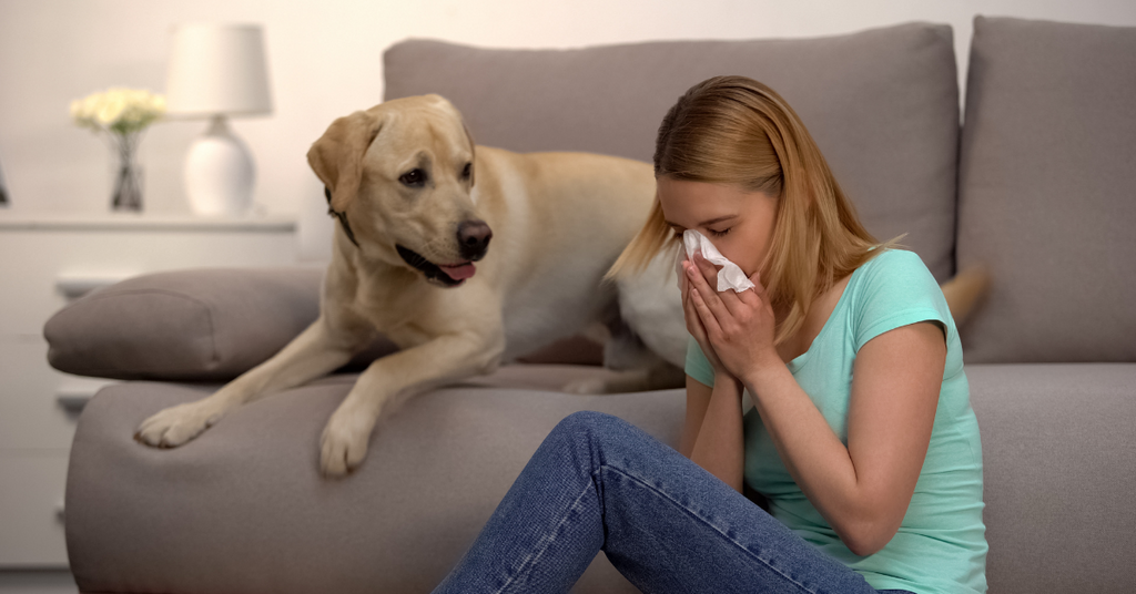 Can Dogs Get a Cold?