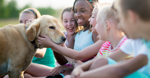 15 Best Dog Breeds for Kids