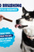 Dog enjoying dental treat with no brushing needed, promoting pet health and daily care