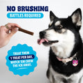 Dog enjoying dental treat with no brushing needed, promoting pet health and daily care