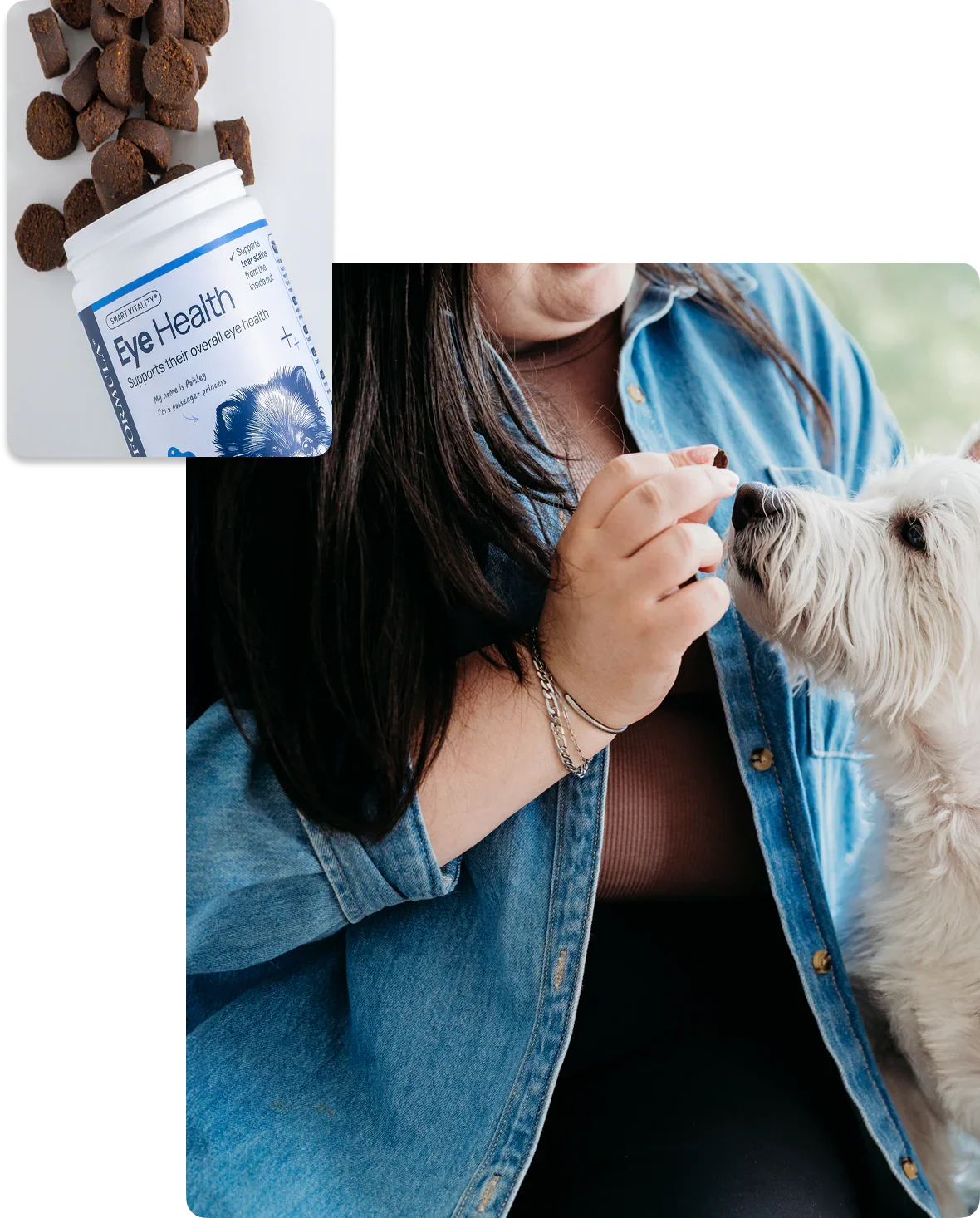 Pet owner giving Eye Health supplement treat to white dog, supporting canine eye wellness and tear stain reduction