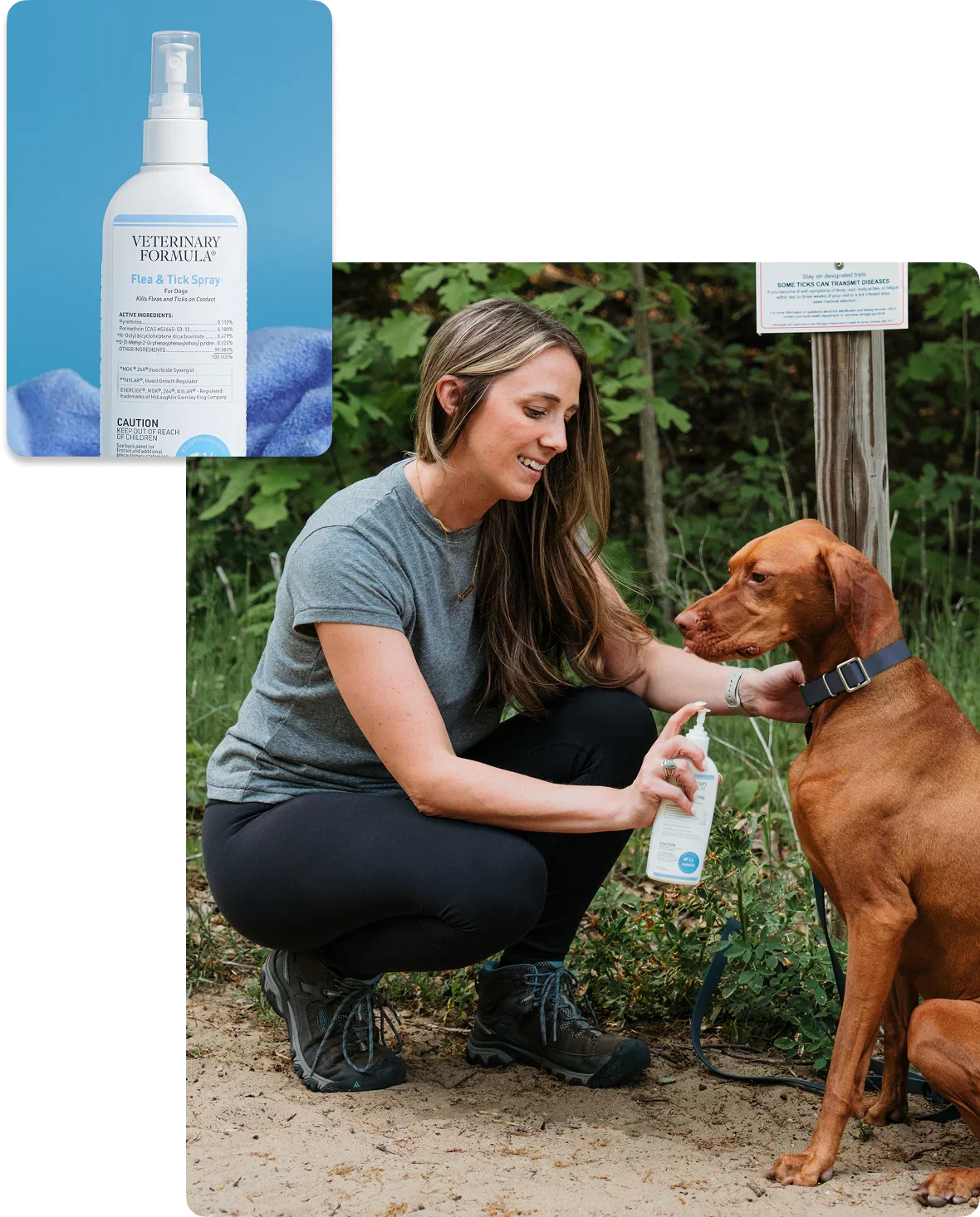 Woman applying flea and tick spray to dog outdoors, promoting pet health and wellness