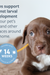 Flea & Tick Spray