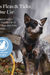 Flea & Tick Spray