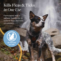 Flea & Tick Spray