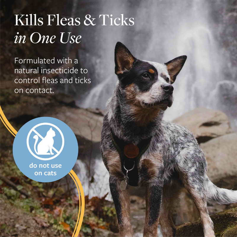 Flea & Tick Spray