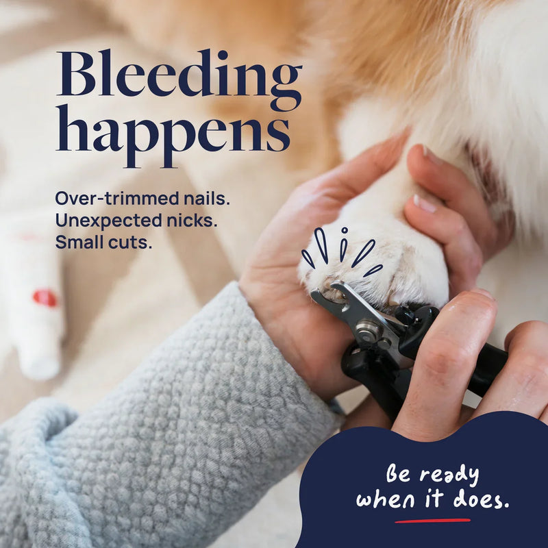Pet nail trimming with clippers, preventing bleeding from over-trimmed nails or small cuts.