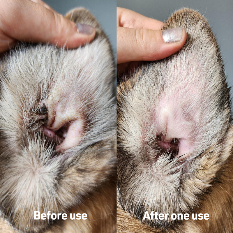 Ear Therapy Wipes