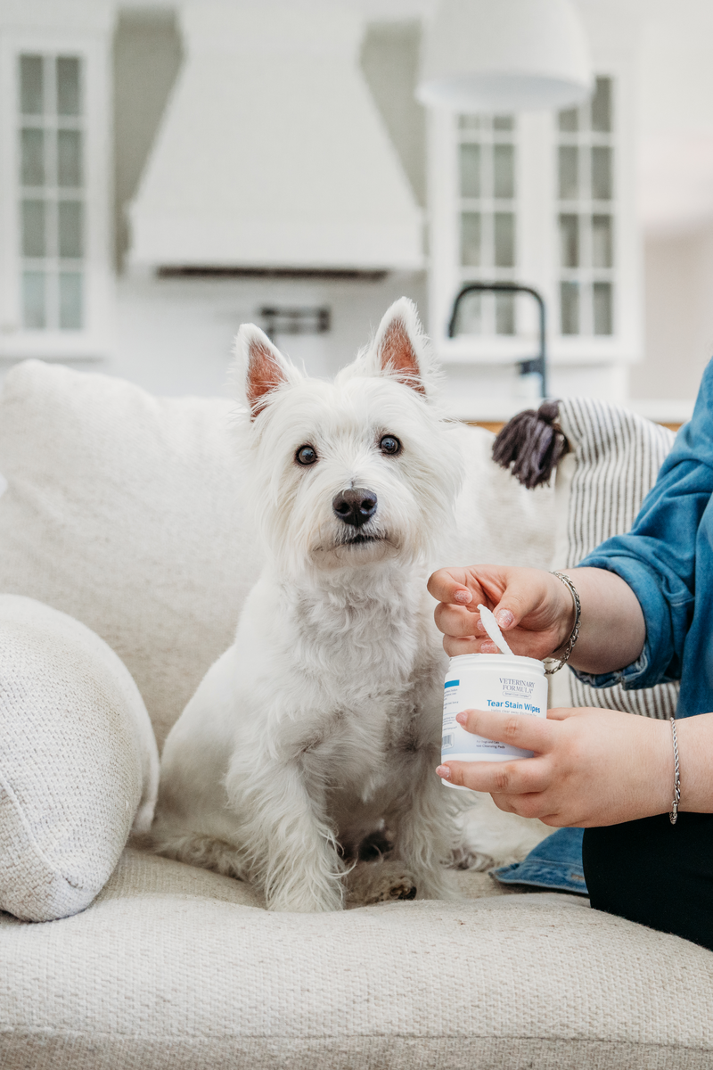 Tear Stain Wipes Pet Eye Health Clean Eye Discharge and