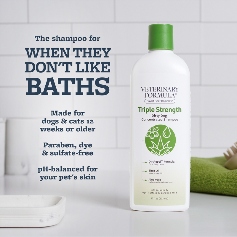 Triple Strength Dirty Dog Shampoo