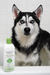Triple Strength Dirty Dog Shampoo