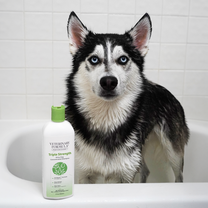 Triple Strength Dirty Dog Shampoo