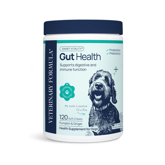 Dog gut health supplement with probiotics and prebiotics, 120 soft chews for digestive support