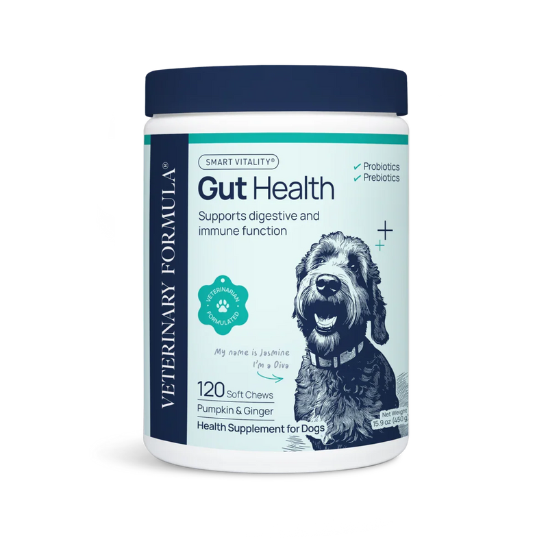 Dog gut health supplement with probiotics and prebiotics, 120 soft chews for digestive support