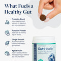 Gut Health supplement for pets with probiotic blend, pumpkin powder, ginger extract, and agave inulin