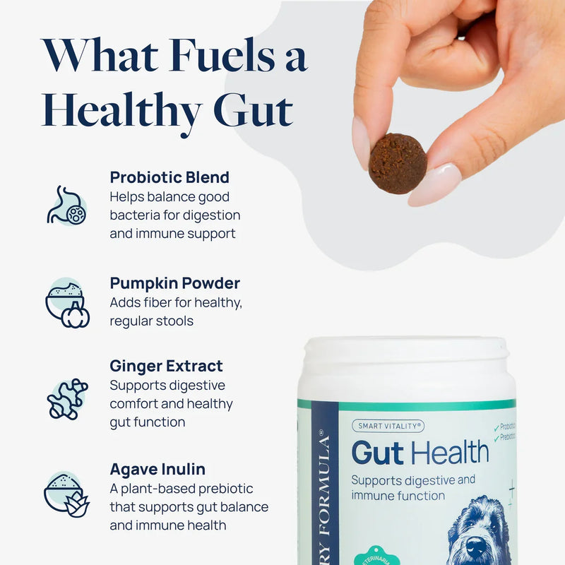 Gut Health supplement for pets with probiotic blend, pumpkin powder, ginger extract, and agave inulin