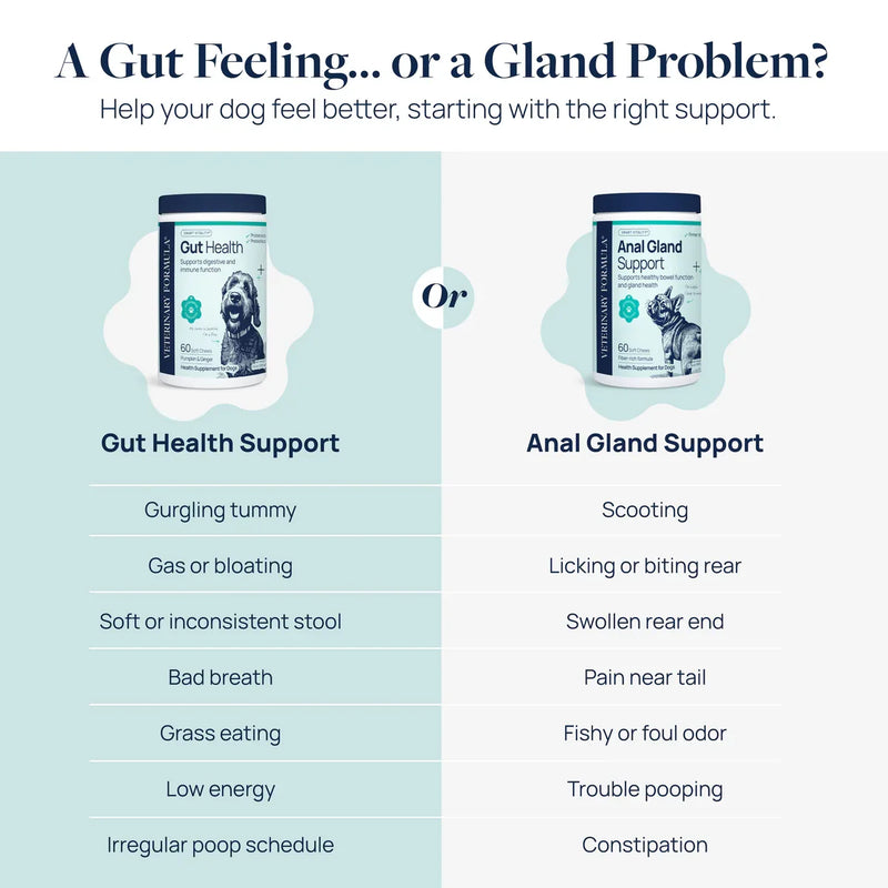 Dog gut and anal gland support supplements for digestive and gland health