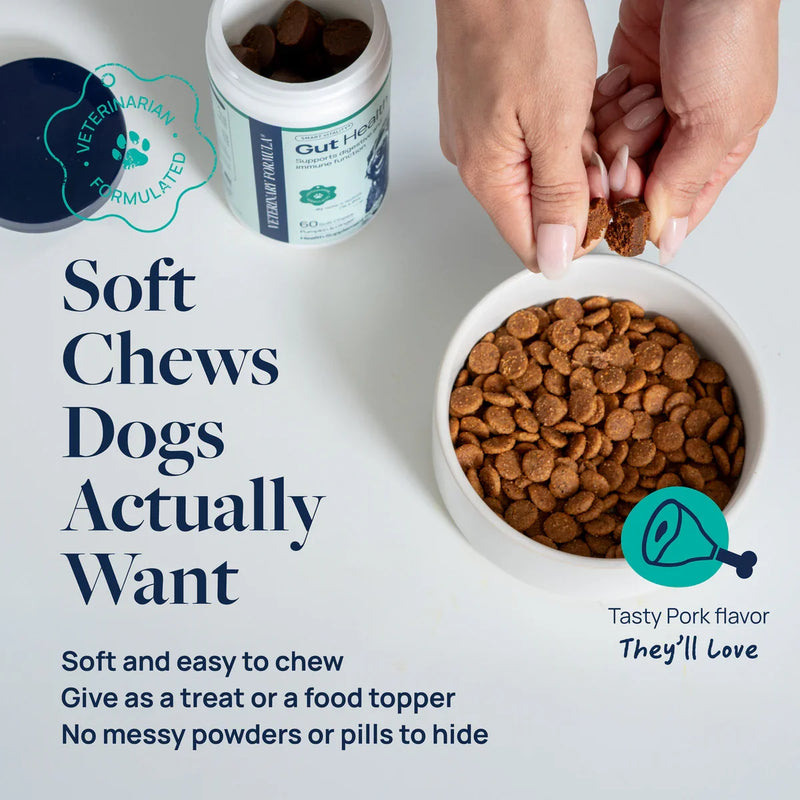Soft pork-flavored dog chews for gut health, vet-formulated, shown in bowl and bottle with hands