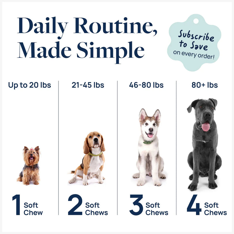 Daily dog supplement routine by weight: 1-4 soft chews for small to large breeds, subscribe to save