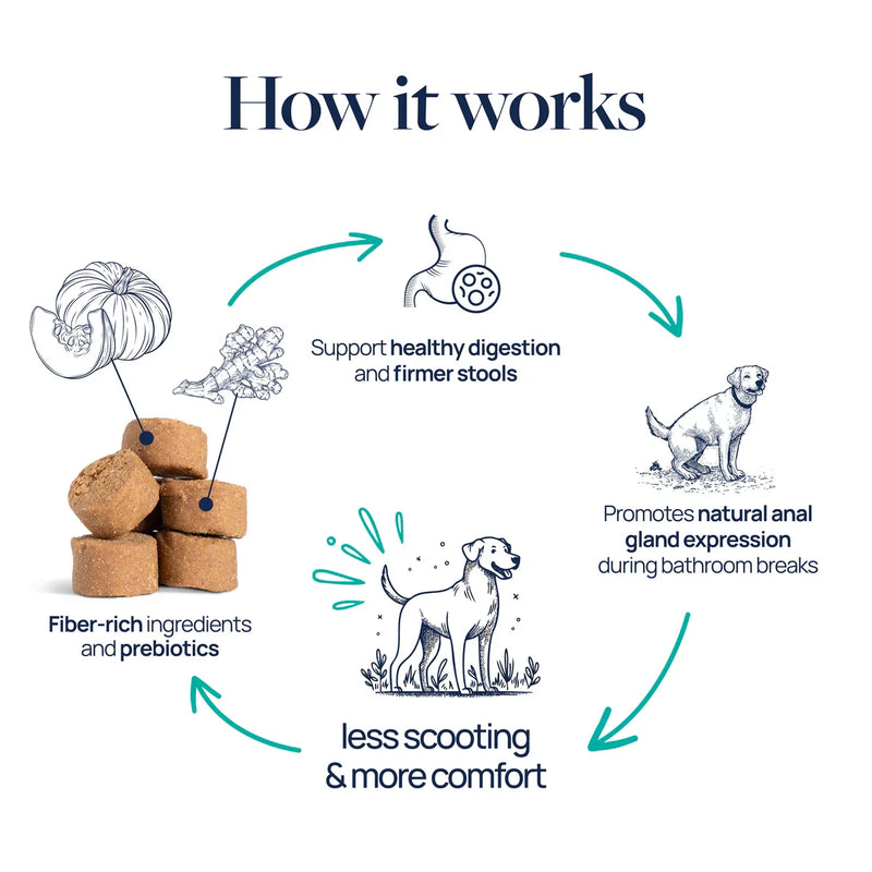 Dog health formula with fiber-rich ingredients for digestion, comfort, and natural gland expression