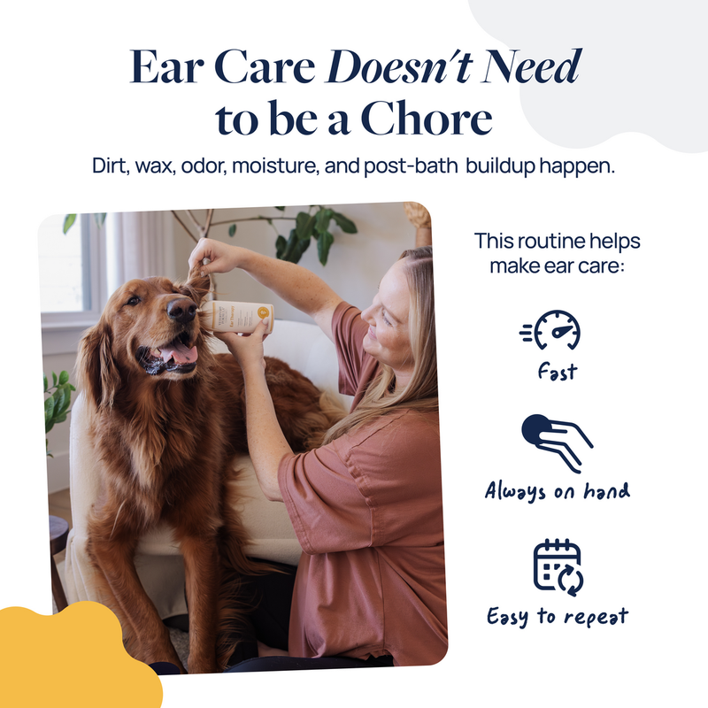 Woman applying ear care formula to golden retriever for fast, easy pet grooming at home