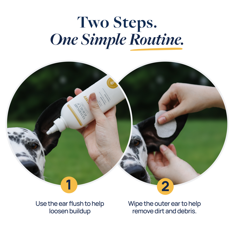 Two-step dog ear cleaning routine: apply ear flush, then wipe outer ear for pet ear care