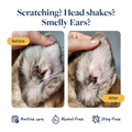 Before and after pet ear care: reduces scratching, head shaking, smelly ears with alcohol-free, sting-free routine