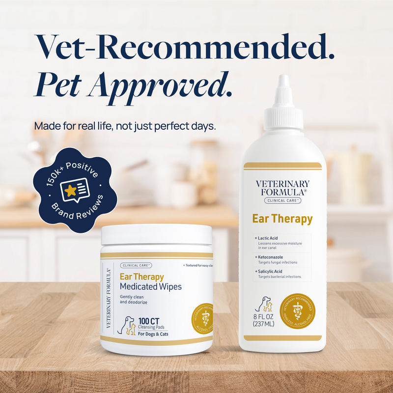 Vet-recommended ear therapy for dogs and cats with medicated wipes and solution
