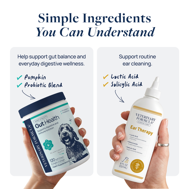 Veterinary Formula Gut Health chews and Ear Therapy for dogs, featuring pumpkin probiotics and lactic acid for pet wellness