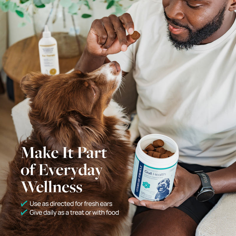 Man giving dog Gut Health supplement treat, promoting everyday pet wellness with daily digestive support