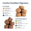 Pet digestive health supplements with probiotics, pumpkin, and psyllium husk for gut support