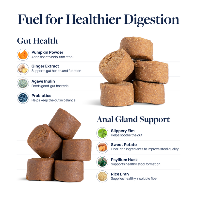 Pet digestive health supplements with probiotics, pumpkin, and psyllium husk for gut support