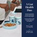 Person adding gut health supplements to dog food bowl for pet wellness