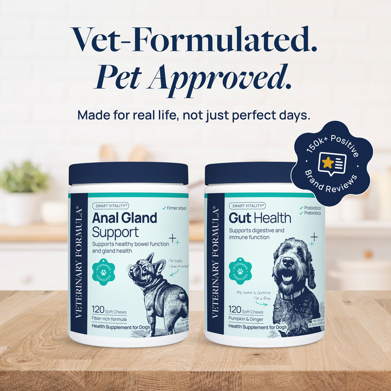 Vet-formulated dog supplements for anal gland and gut health, 120 soft chews each, pet-approved with 150k+ reviews