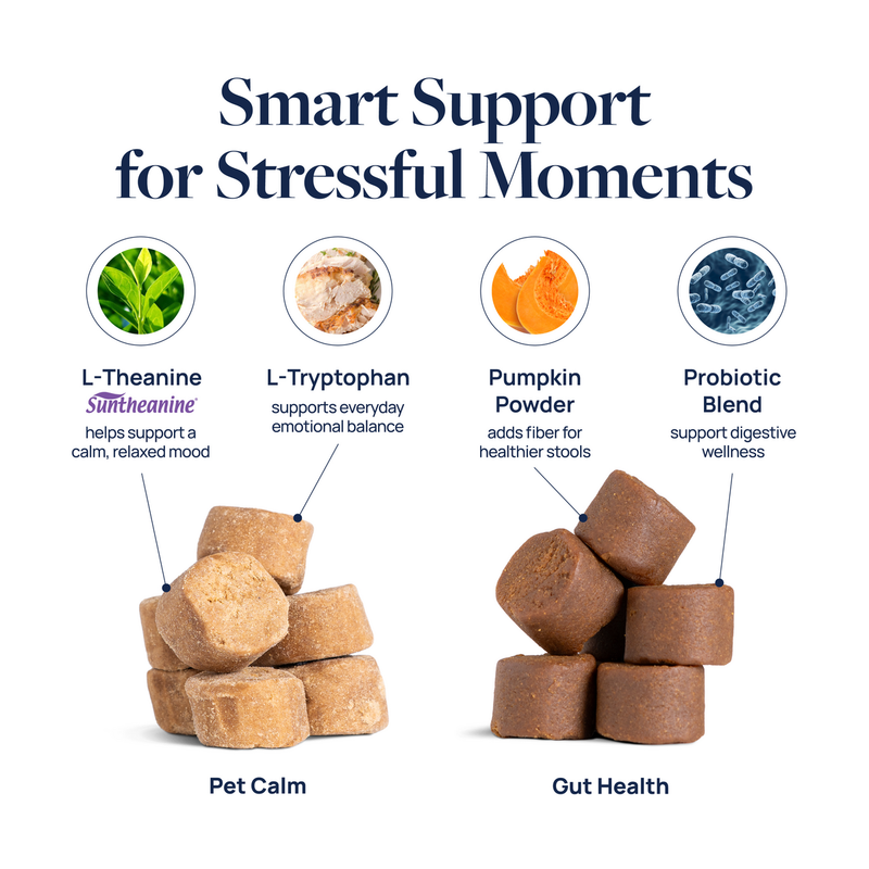 Pet Calm and Gut Health chews with L-Theanine, L-Tryptophan, Pumpkin Powder, Probiotic Blend for stress support