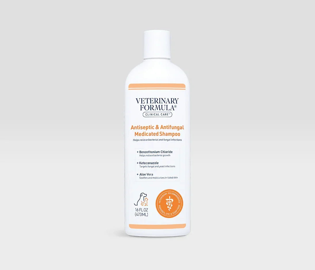 Veterinary Formula Antiseptic & Antifungal Medicated Shampoo for dogs and cats, 16 fl oz