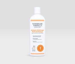 Antiseptic & Antifungal Medicated Shampoo