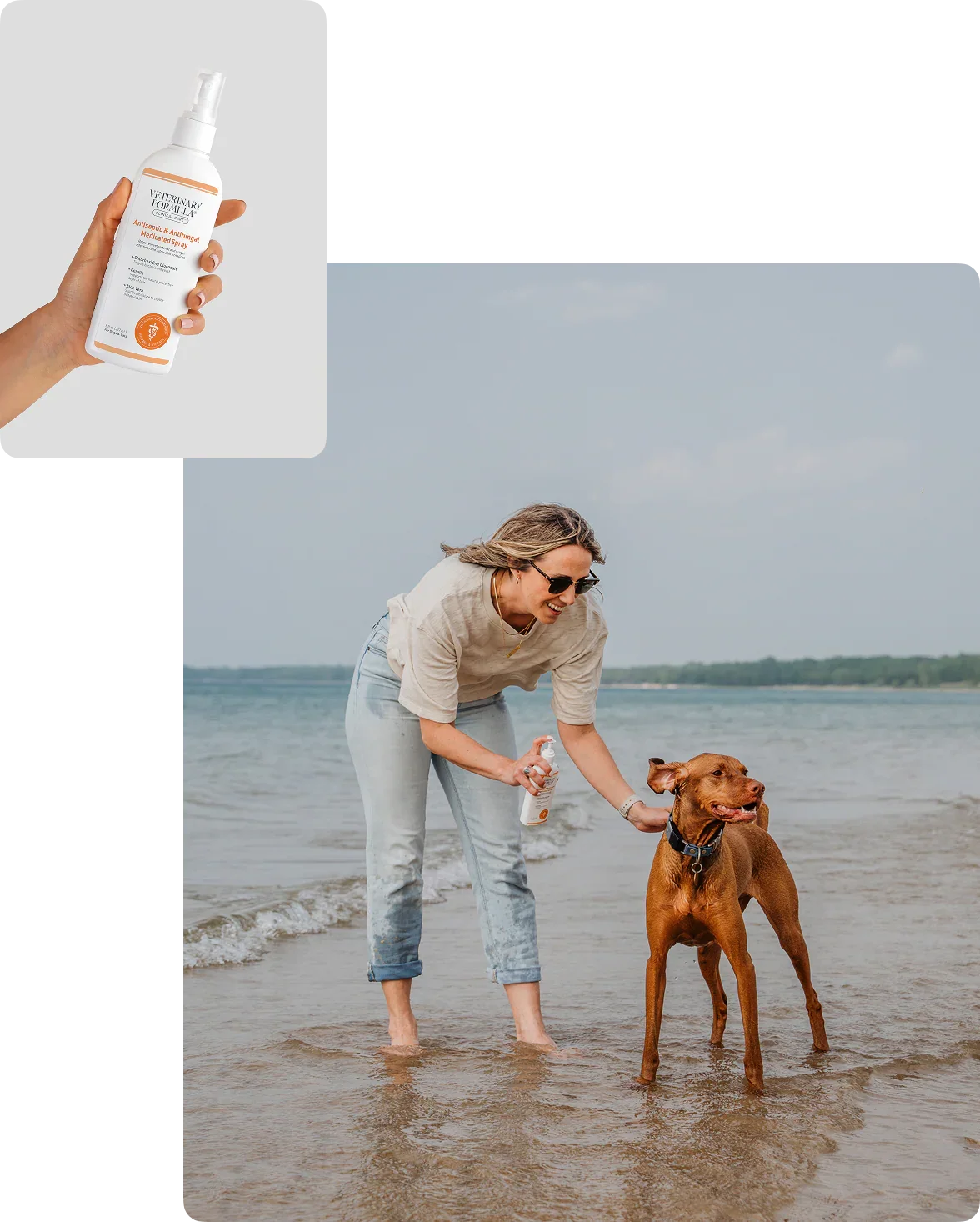 Woman applying pet care spray to dog at beach, promoting pet health and wellness