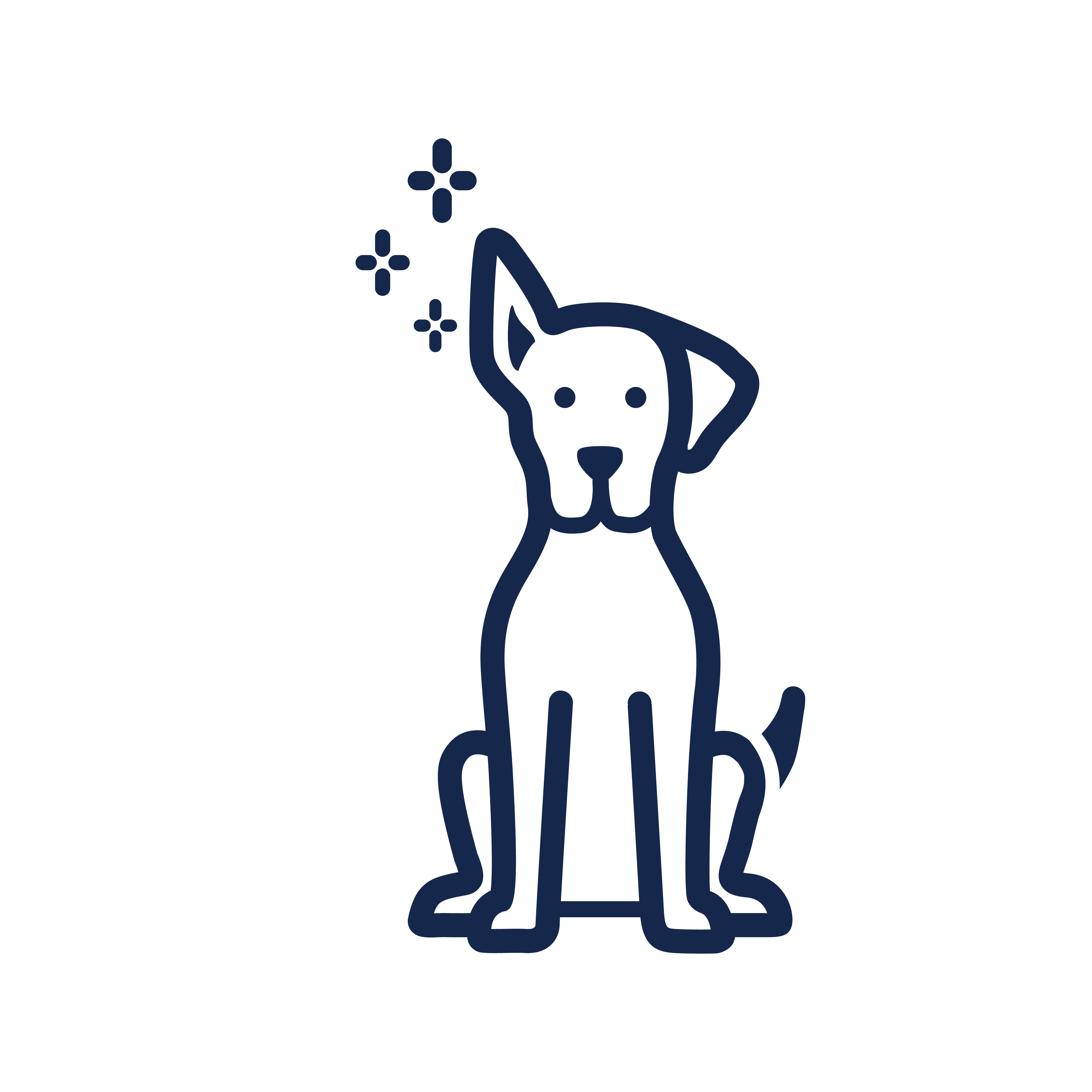 Cleans and Deodorize Ears