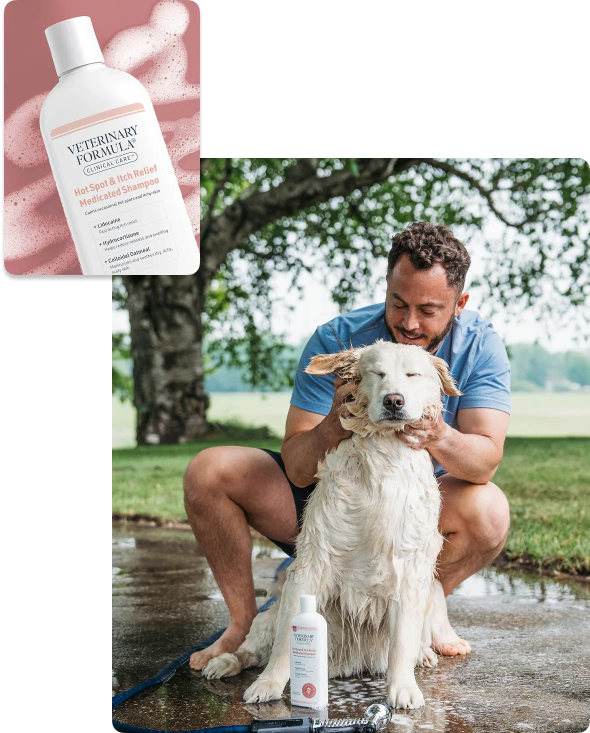 Man bathing golden retriever with Veterinary Formula Hot Spot & Itch Relief Medicated Shampoo outdoors