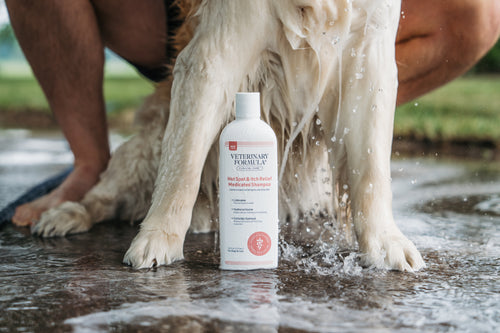 Hot Spot & Itch Relief Medicated Shampoo