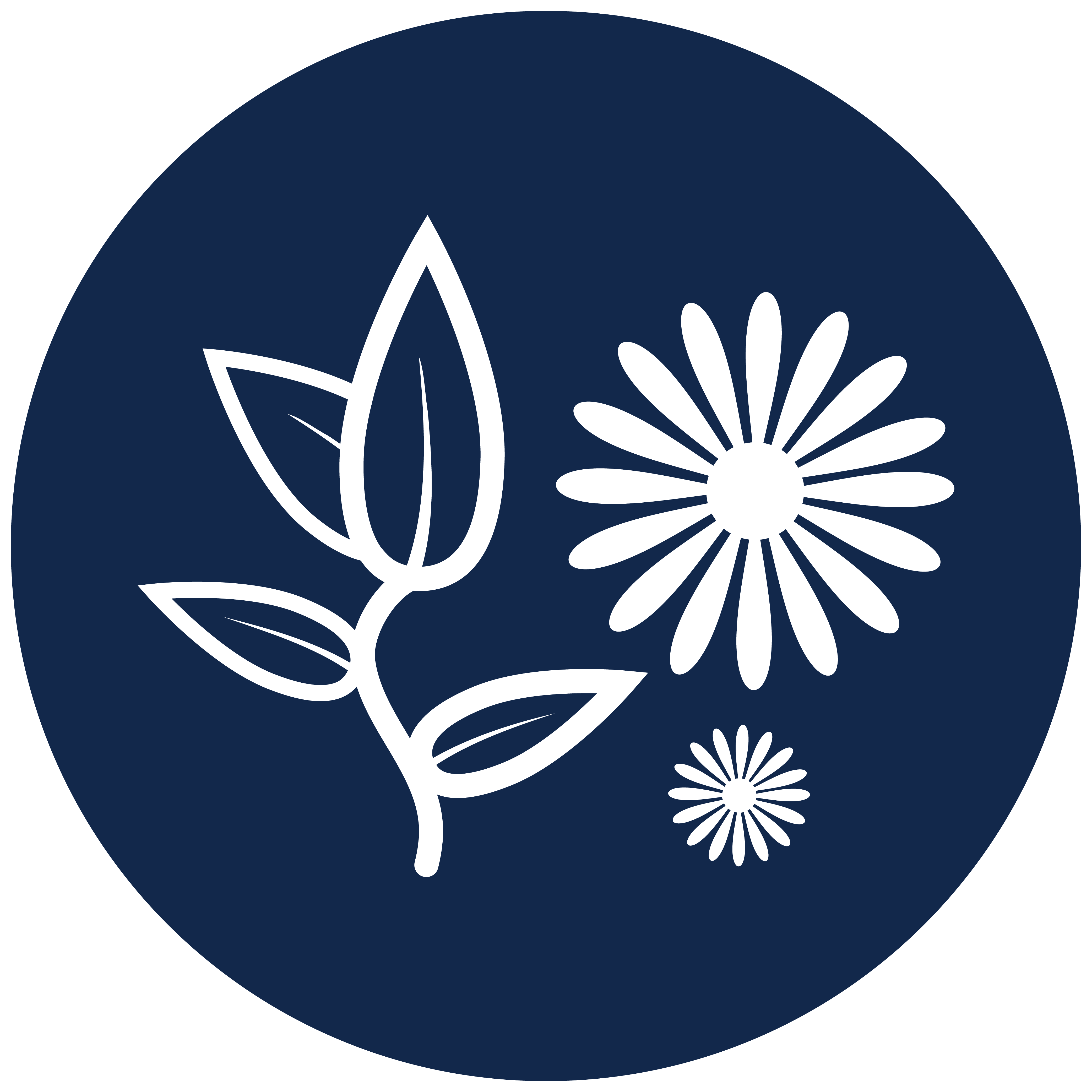 Chamomile & Green Tea 