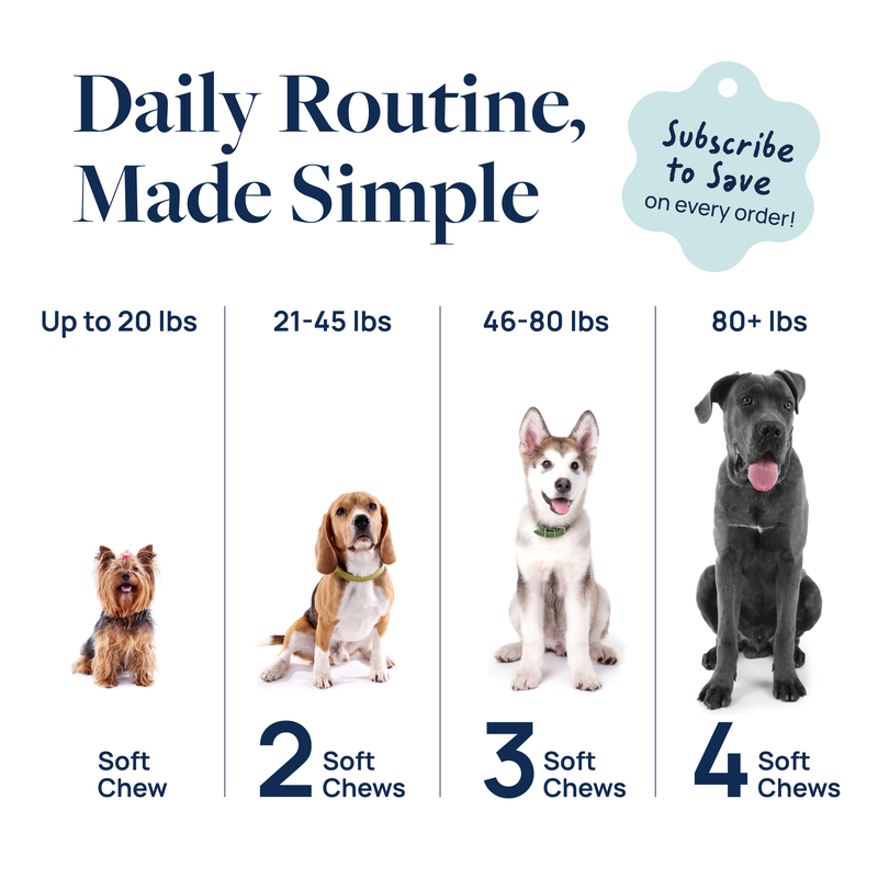 Anal Gland Support Supplement