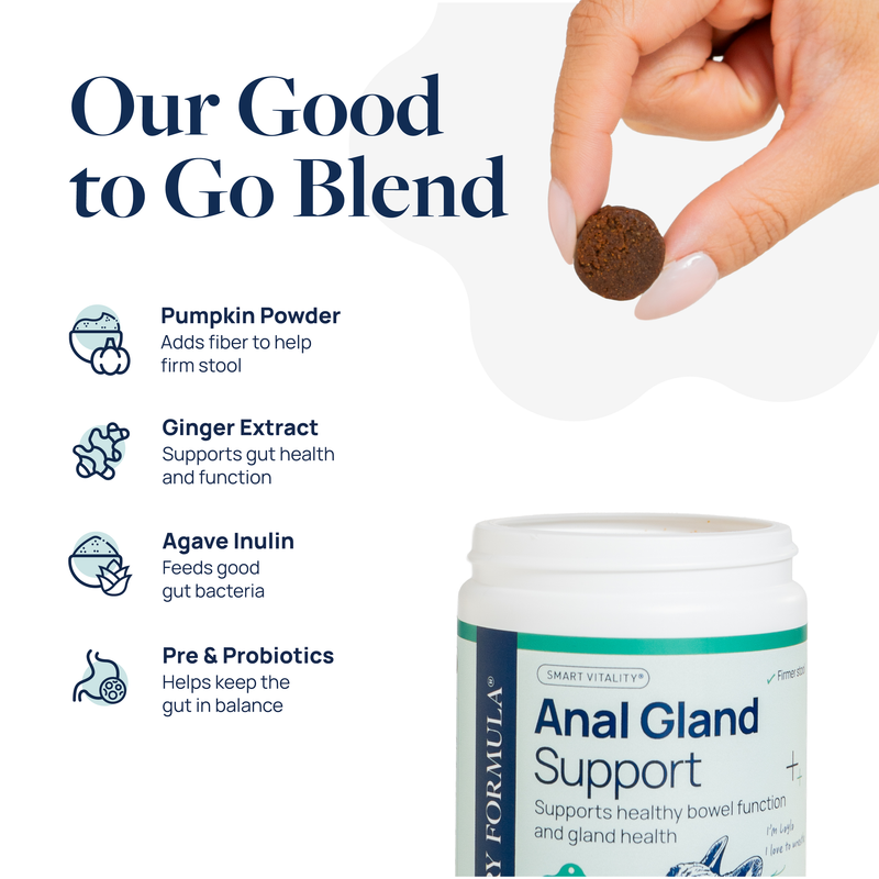 Anal Gland Support Supplement