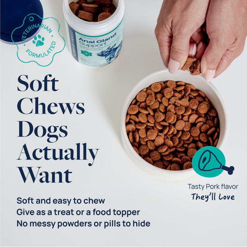 Anal Gland Support Supplement